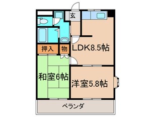 フェルデンマイスター力丸の物件間取画像